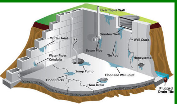 Typical Basement Layout